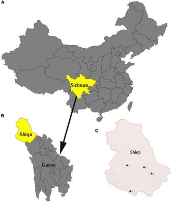 High prevalence of spotted fever group rickettsiae in ticks collected from yaks (Bos grunniens) in Shiqu county, eastern Tibetan Plateau, China